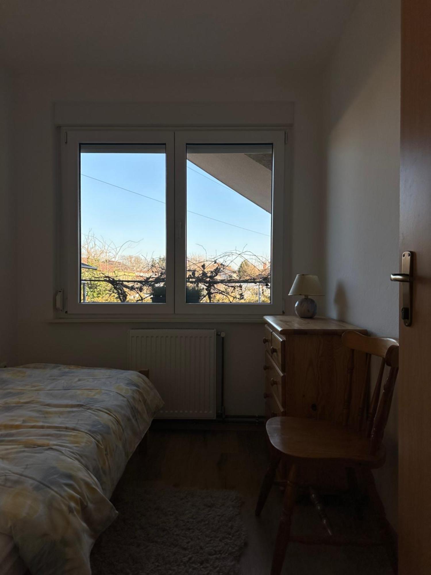 Vanessa Apartment Ljubljana Eksteriør bilde